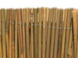 25 PZ CANNE CANNA DI BAMBOO PALI PALETTI H.210 CM SPESSORE Ø 24/26 FERR  268769