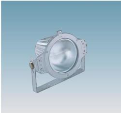 PROIETTORE CON STAFFA PER ESTERNO JM 250W FC2