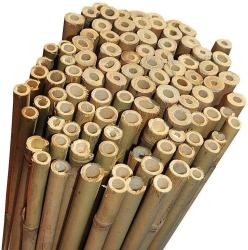 25 PZ CANNE bamboo bambù pareti divisorie pali pomodori piante rampicanti h. 210 cm diametro 22-24 MM